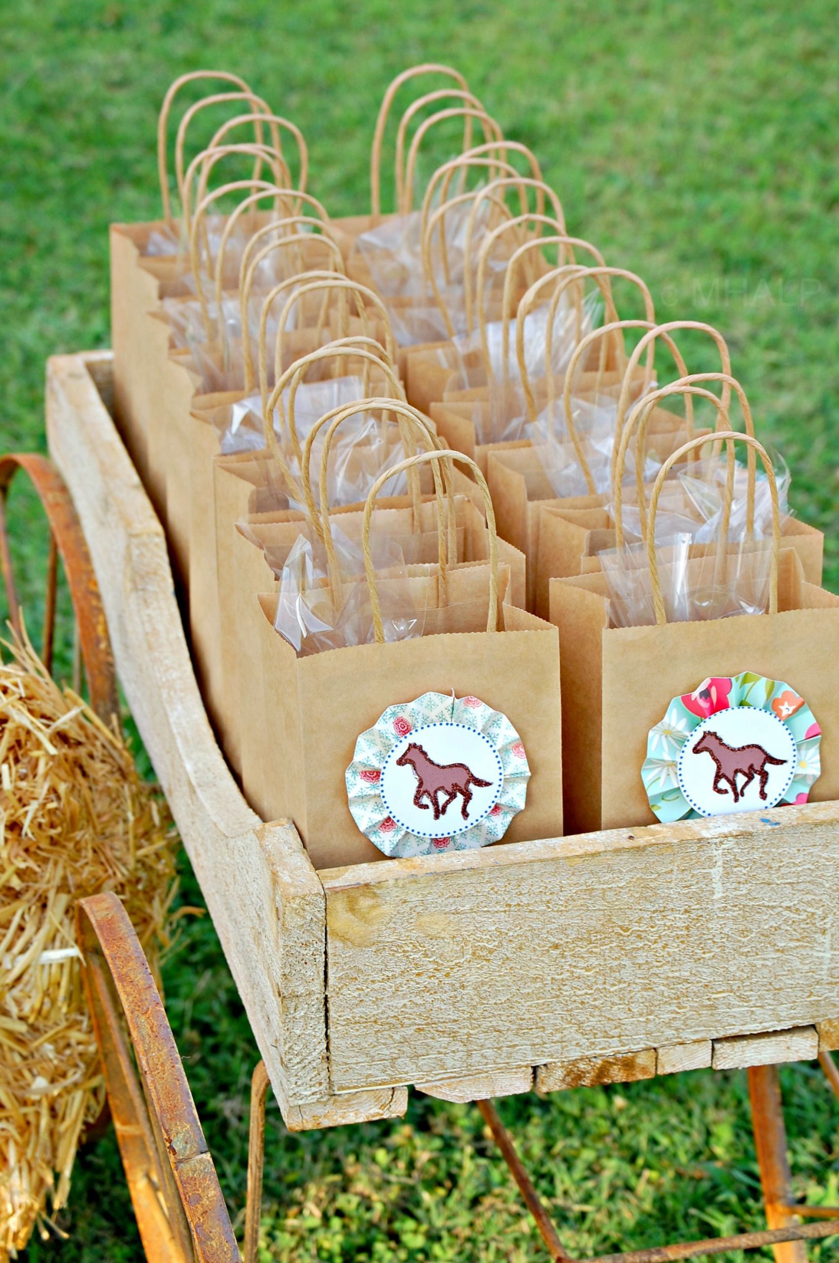 Horse Birthday Party
 horse party favors from Mary Had a Little Party in 2019