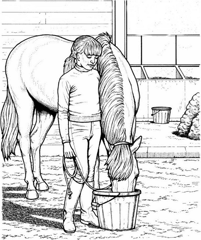 Horse Coloring Pages For Older Kids
 Pferde ausmalbilder 12