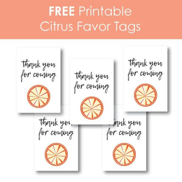 Houseguest Thank You Gift Ideas
 69 best Baby Shower Hostess Gifts images on Pinterest