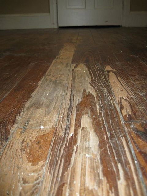 How To Restore Hardwood Floors DIY
 How to refinish a hardwood floor the plete manifesto