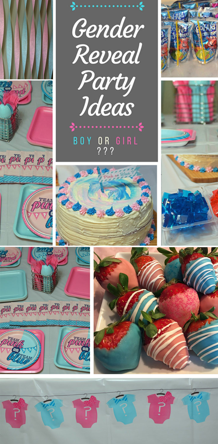Ideas For A Gender Reveal Party
 Gender Reveal Party Ideas Gender reveal cake pink & blue food