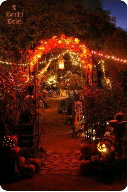 Ideas For Halloween Party In Backyard
 Halloween outdoor house decorations