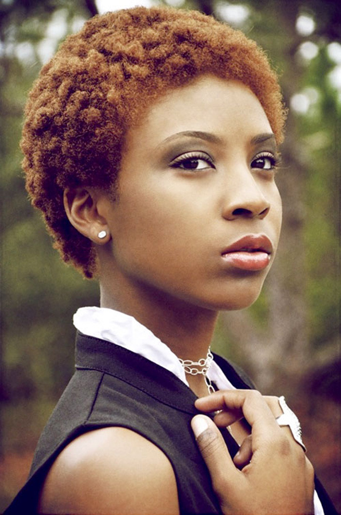 Image Of Natural Hairstyles
 Short Natural Hairstyles For Black Women The Xerxes