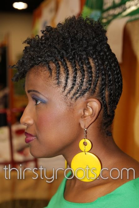 Image Of Natural Hairstyles
 African American Hair Braiding Styles
