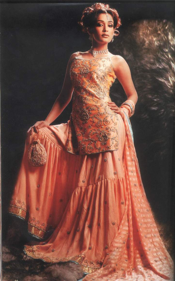 Indian Wedding Dresses
 Pakistani & Indian Wedding Dresses 2012 Fashion World Design