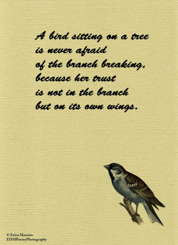 Inspirational Bird Quotes
 Inspirational Quotes About Birds QuotesGram