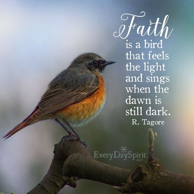 Inspirational Bird Quotes
 The 25 best Bird quotes ideas on Pinterest