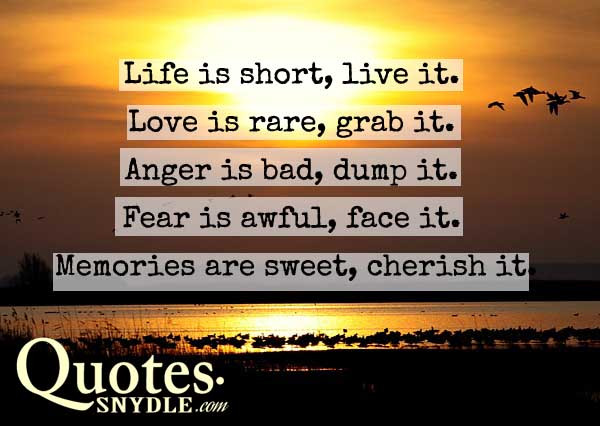 Inspirational Life Quotes And Sayings
 Inspirational Quotes to Live By With Quotes and
