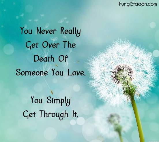 Inspirational Quote For Grief
 TOP 50 Grief Quotes Sayings with FungiStaaan
