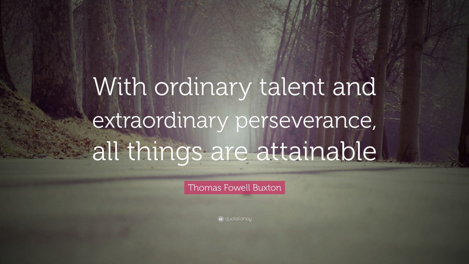 Inspirational Quotes About Perserverance
 Persistence Quotes 50 wallpapers Quotefancy