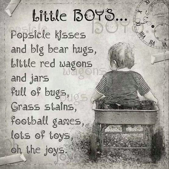 Inspirational Quotes For Boys
 Little Boys Are Quotes QuotesGram