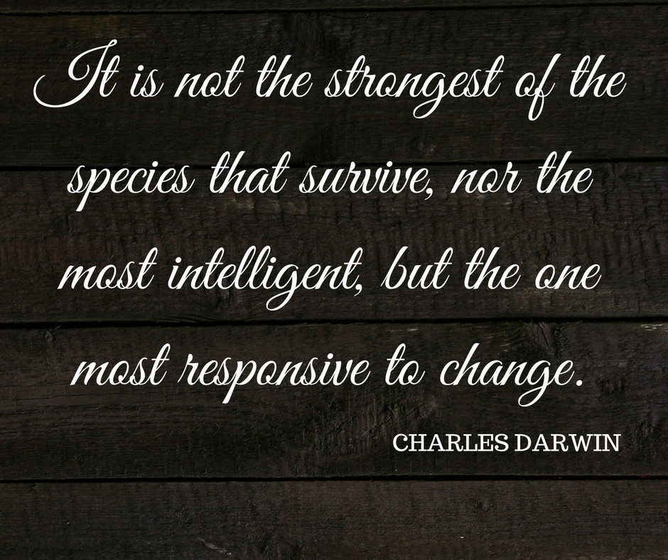 Inspirational Quotes On Success
 Motivational quotations success " It is not the strongest