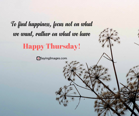 Inspirational Thursday Quotes
 20 Thursday Quotes To Fill Your Day With Positive Thoughts