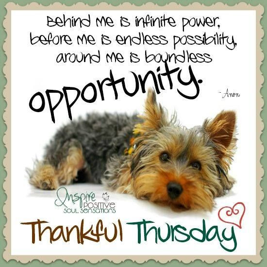 Inspirational Thursday Quotes
 Thankful Thursday Inspirational Quote s