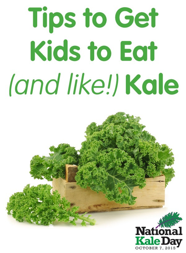 Kale Recipes For Kids
 4 Easy Veggies to Blend Into Any Recipe