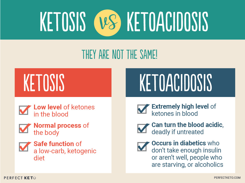 Keto Diet Symptoms
 What Is the Ketogenic Diet Perfect Keto Exogenous Ketones