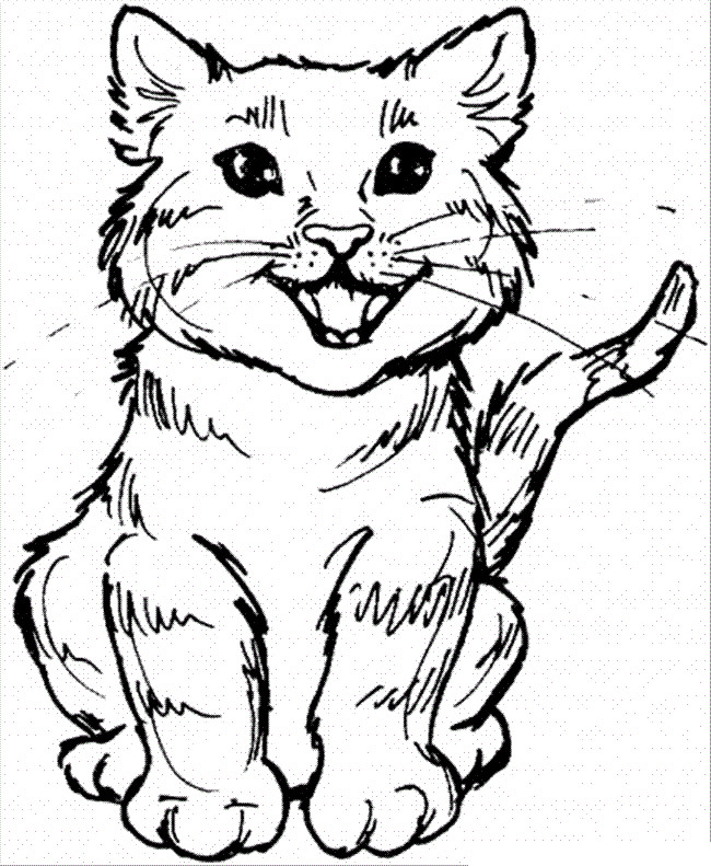 Kids Cat Coloring Pages
 Free Printable Cat Coloring Pages For Kids