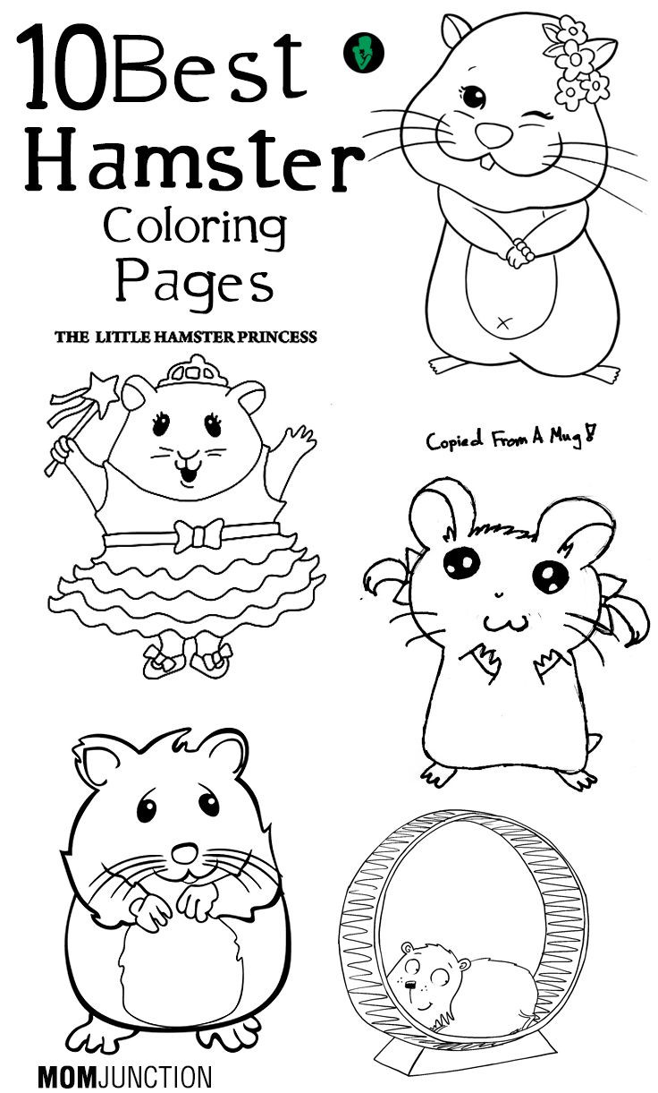 Kids Coloring Book Pages
 Top 25 Free printable Hamster Coloring Pages line
