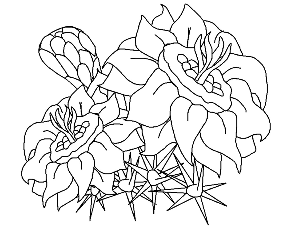 Kids Flower Coloring Pages
 Free Printable Flower Coloring Pages For Kids Best