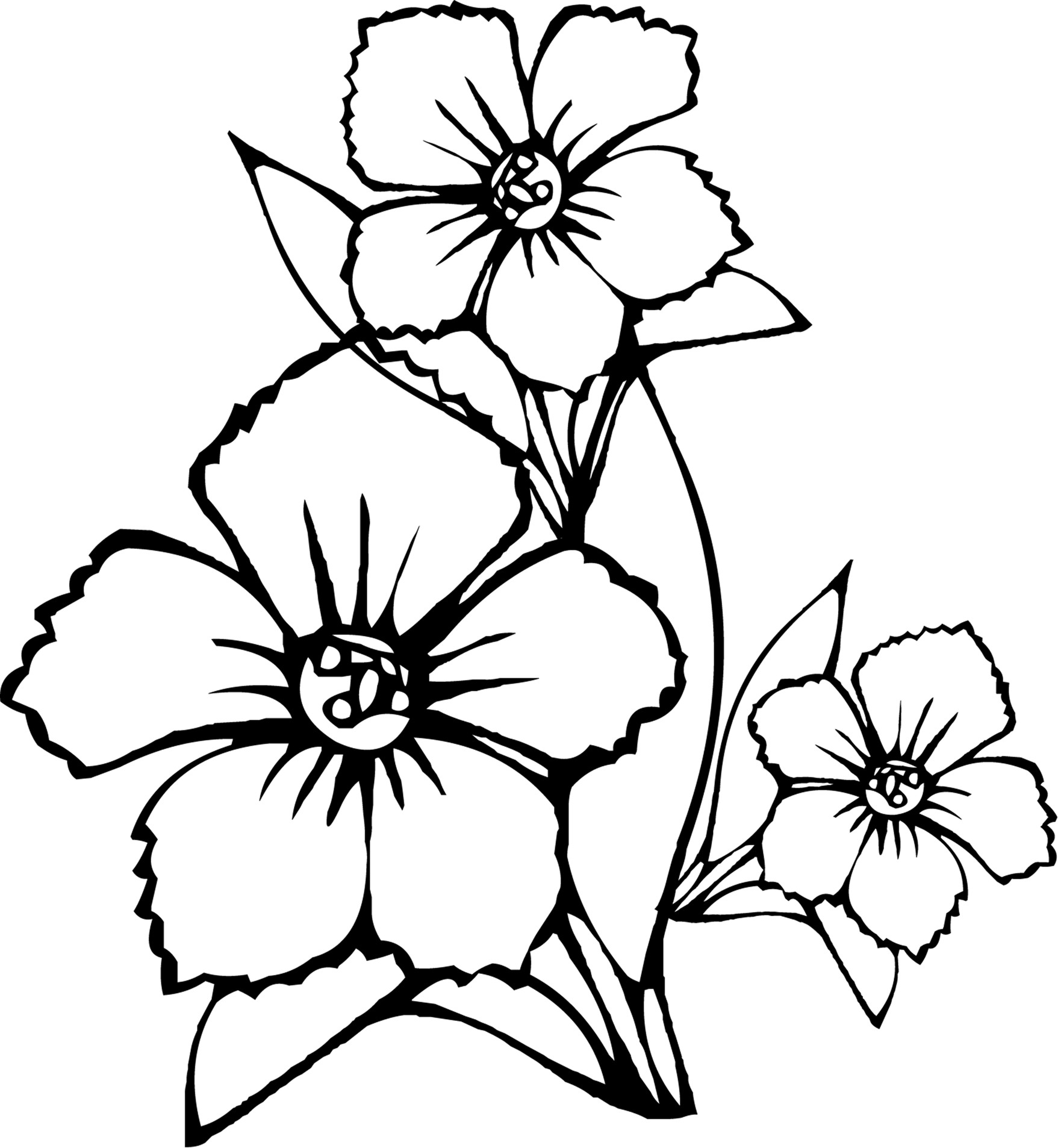 Kids Flower Coloring Pages
 Free Printable Flower Coloring Pages For Kids Best