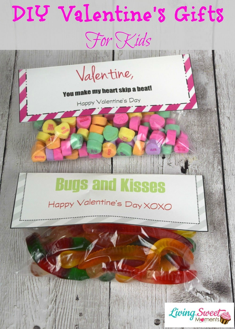 Kids Valentine Gifts
 DIY Valentine s Gift For Kids