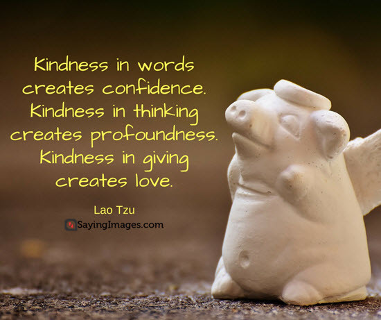 Kindness Quotes Images
 30 Inspiring Kindness Quotes to Live By