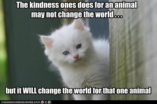 Kindness To Animals Quotes
 Quotes about Kindness To Animals 33 quotes