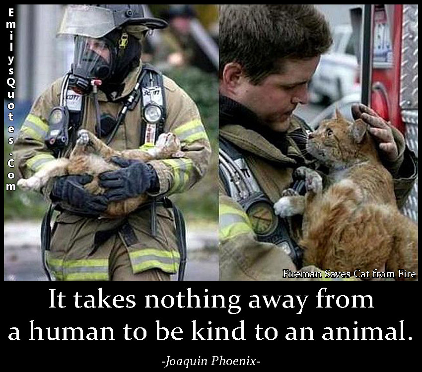 Kindness To Animals Quotes
 It takes nothing away from a human to be kind to an animal