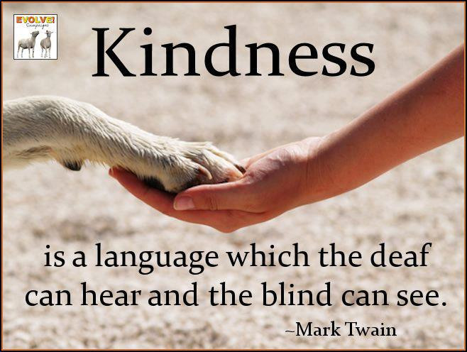 Kindness To Animals Quotes
 Funny Quotes About Kindness QuotesGram