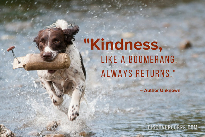 Kindness To Animals Quotes
 50 Inspirational Quotes About Volunteering & Giving Back