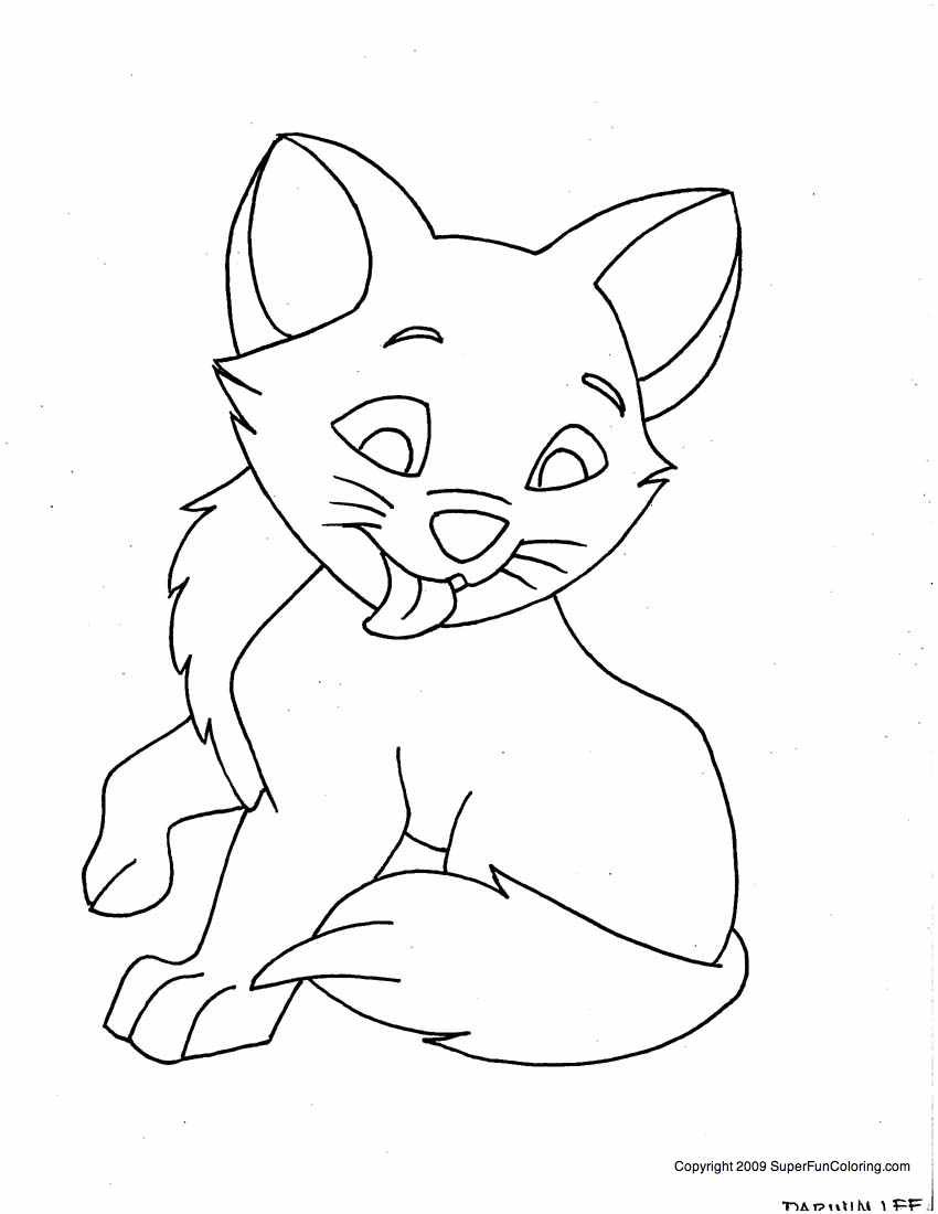 Kitten Coloring Pages For Kids
 Male Kitten Coloring Pages For Boys