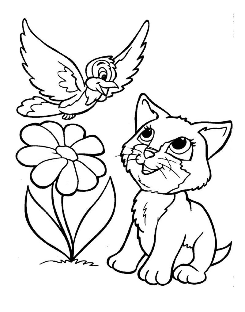 Kitten Printable Coloring Pages
 Lovely Kitten Coloring Pages