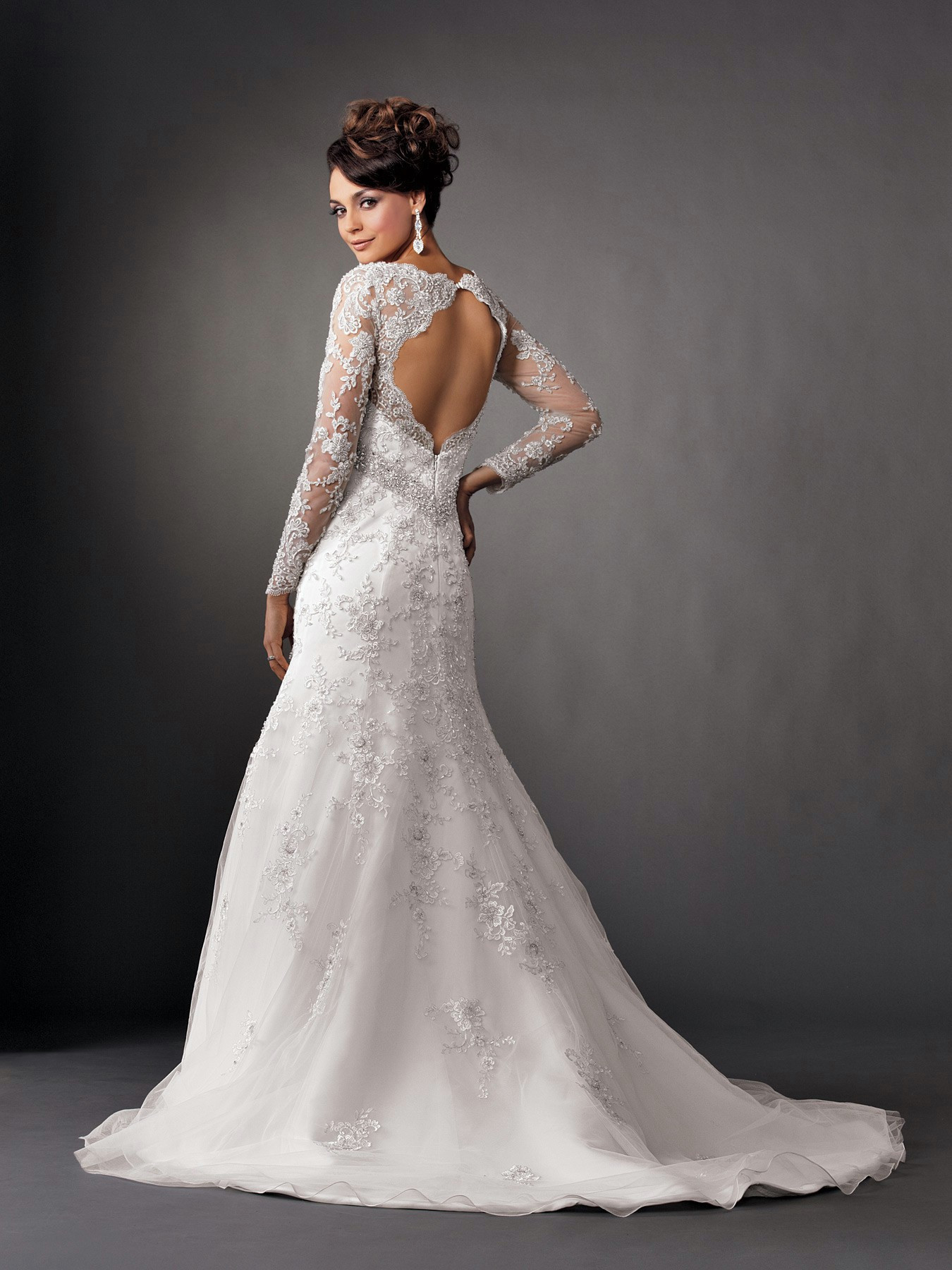 Lace Sleeve Wedding Dress
 2014 2015 Wedding Dress Trends Lace Sleeves