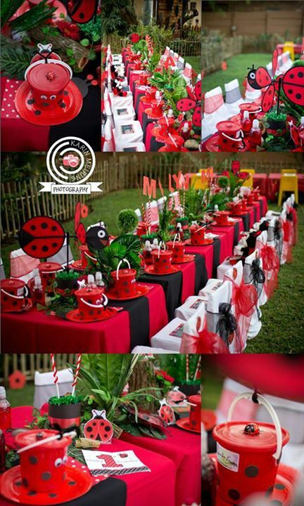 Ladybug Birthday Decorations
 fan makes a stunning ladybug party