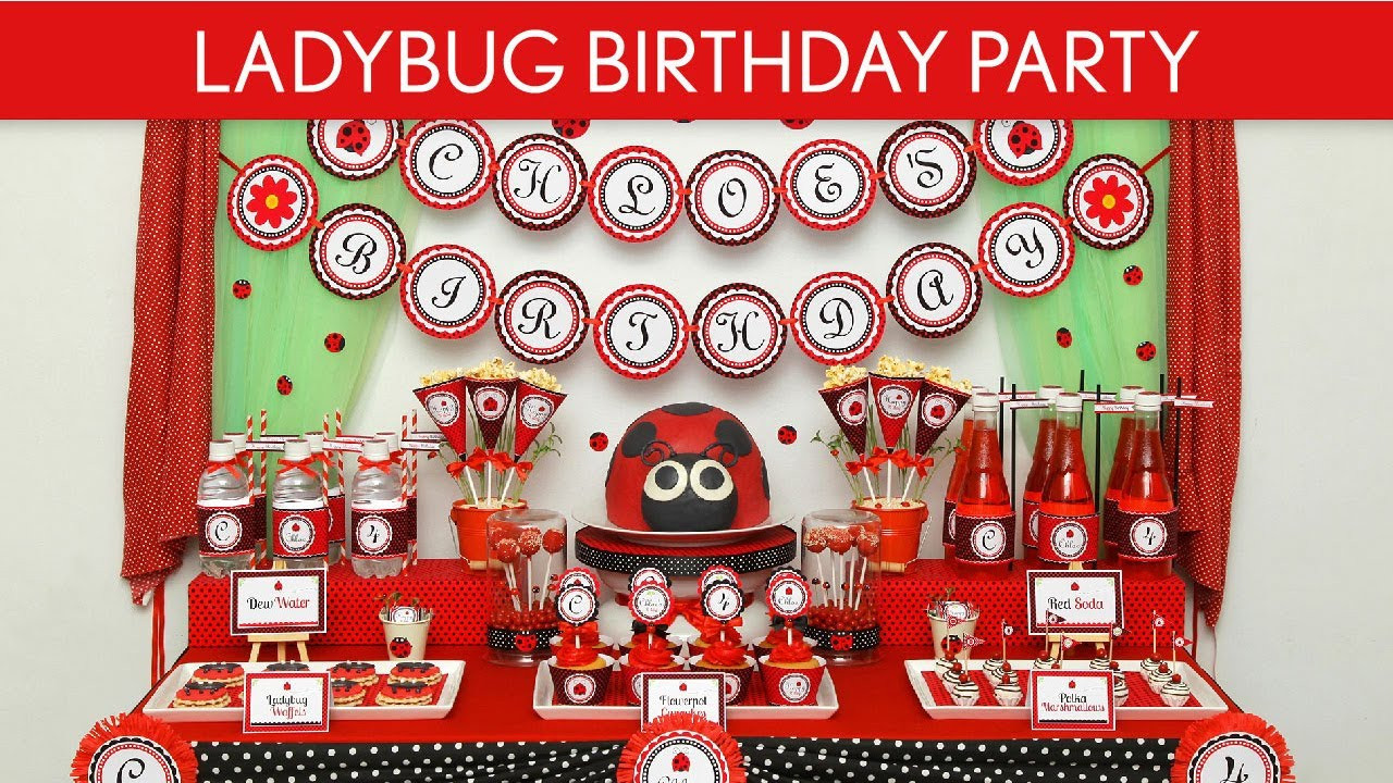 Ladybug Birthday Decorations
 Ladybug Birthday Party Ideas Ladybug B35