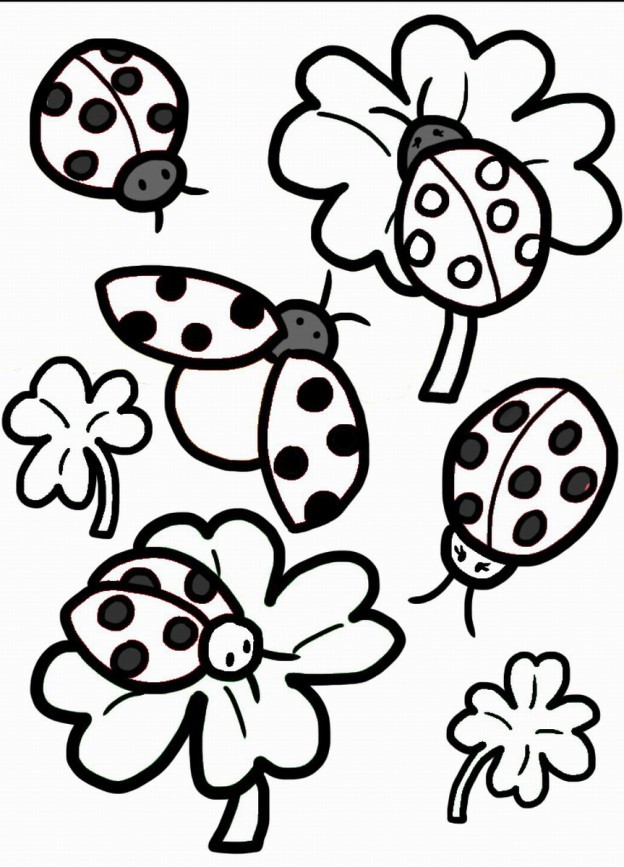 Ladybug Printable Coloring Pages
 Birthday Printable