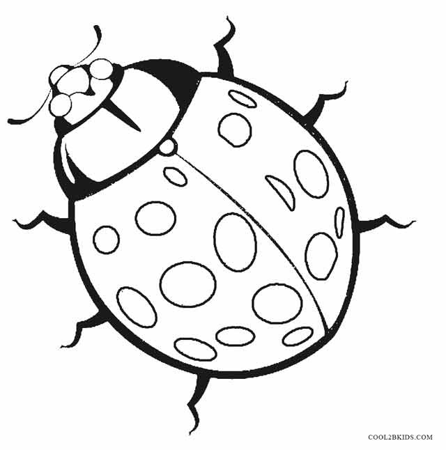 Ladybug Printable Coloring Pages
 Printable Bug Coloring Pages For Kids