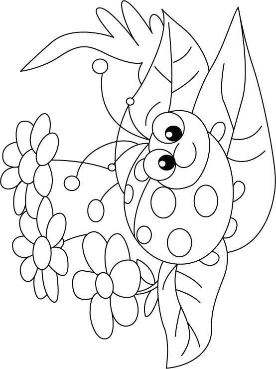 Ladybug Printable Coloring Pages
 Miraculous Ladybug Coloring Pages Coloring Pages