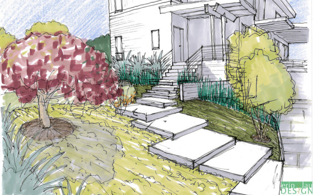 Landscape Design Drawings
 How to Draw Plants
