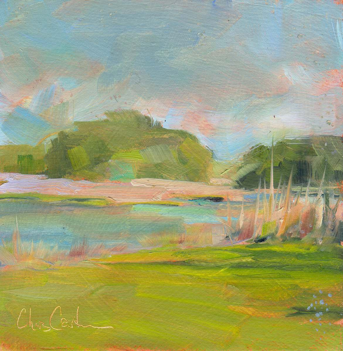 Landscape Oil Paintings
 oil paintings