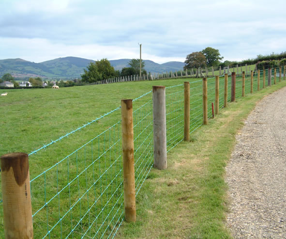 Landscape Timbers For Fence Post
 Timber fencing posts Clifford Jones Timber