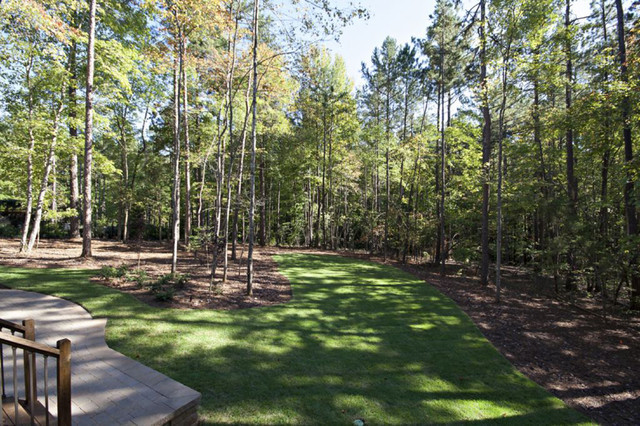 Landscaping Ideas Backyard
 Wooded backyard Traditional Landscape raleigh by