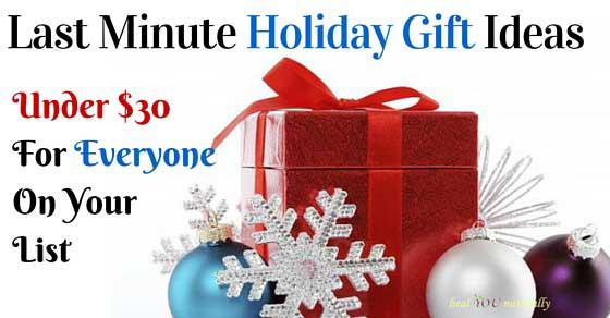 Last Minute Holiday Gift Ideas
 Last Minute Holiday Gift Ideas Under $30 00