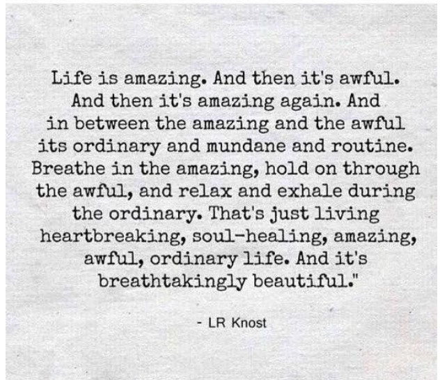 Life Is Amazing Quote
 September 2015
