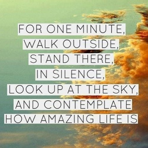 Life Is Amazing Quote
 your life IS amazing QUOTES