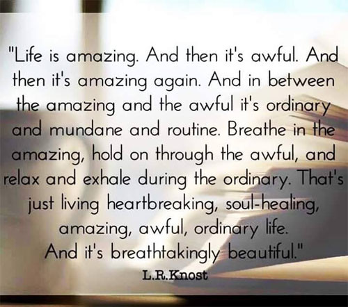 Life Is Amazing Quote
 life is amazing then its awful