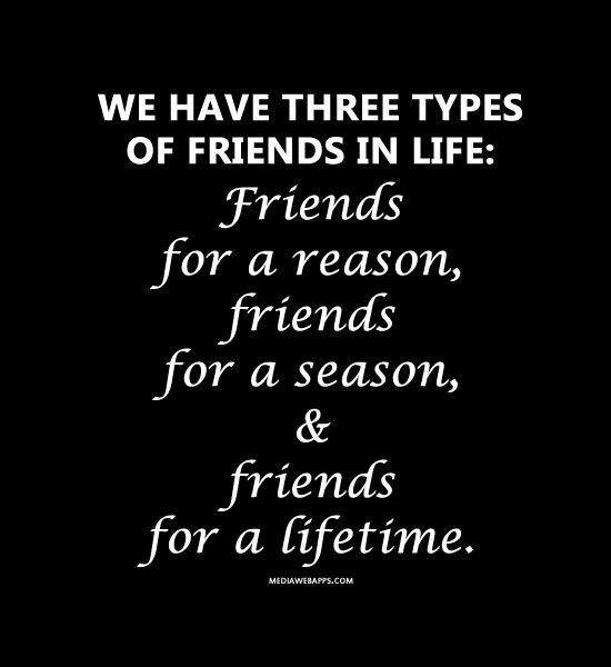 Lifetime Friendships Quotes
 We have three types of friends in life Friends for a