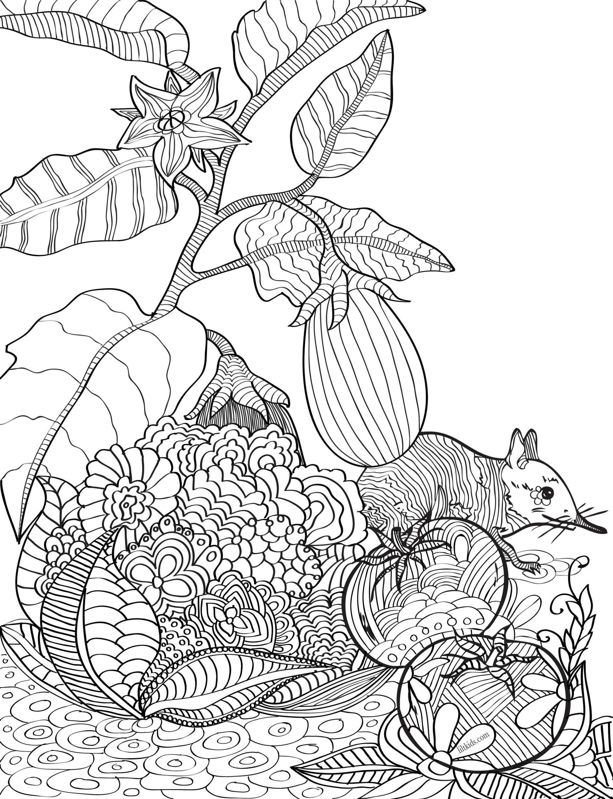 Lilt Kids Coloring Books
 Free garden adult coloring book image from LiltKids