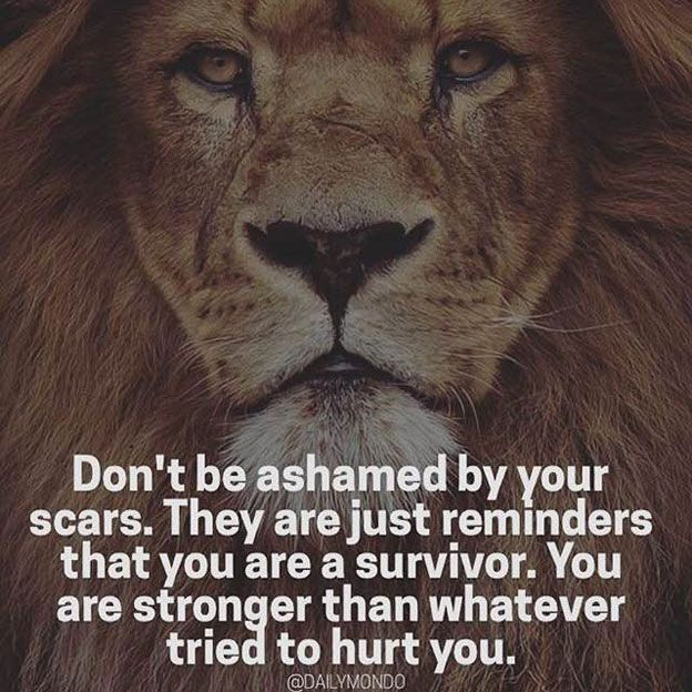 Lion Motivational Quotes
 43 best LION QUOTES & Motivational Courage