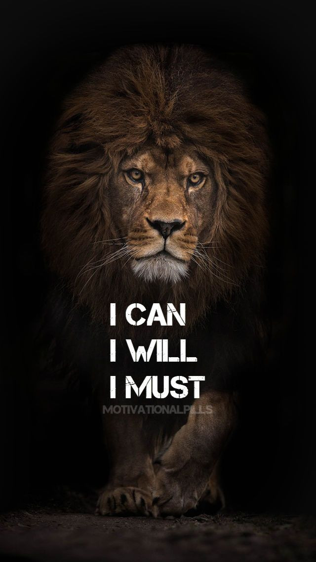 Lion Motivational Quotes
 quote wallpaper motivation inspiration
